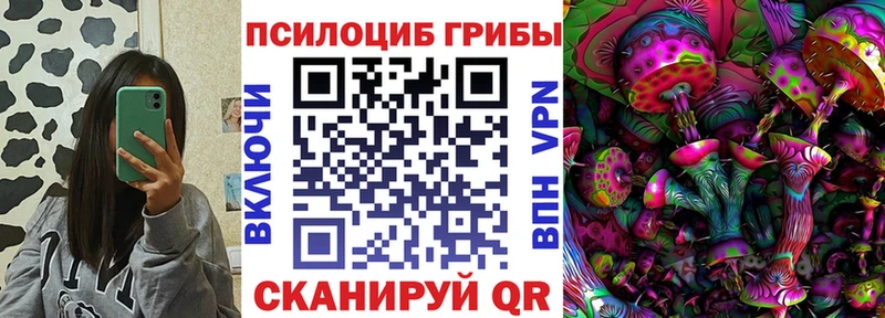 Псилоцибиновые грибы Psilocybine cubensis  Череповец 